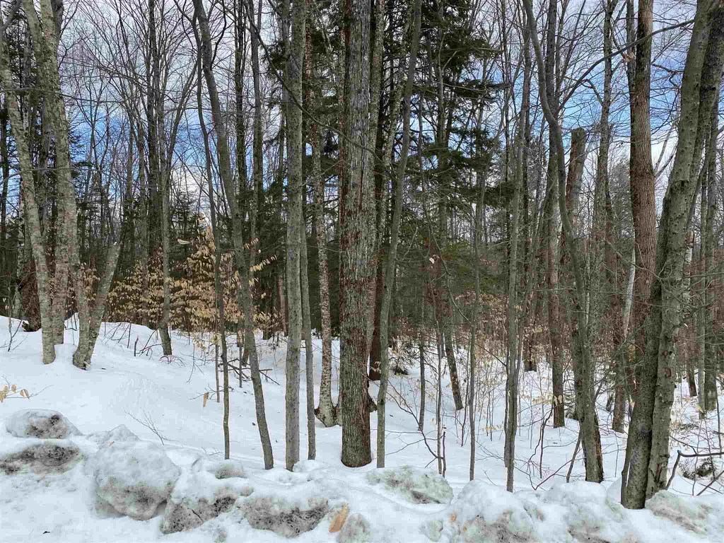 4 Chickadee Lane Grantham NH 03753