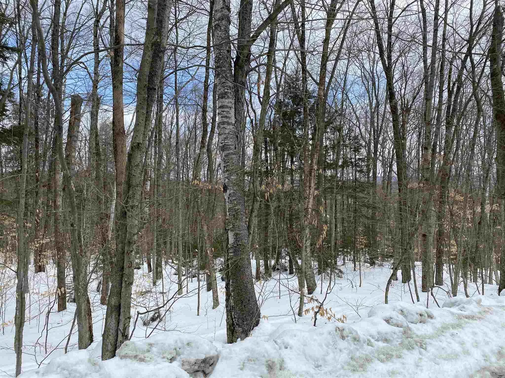 4 Chickadee Lane Grantham NH 03753