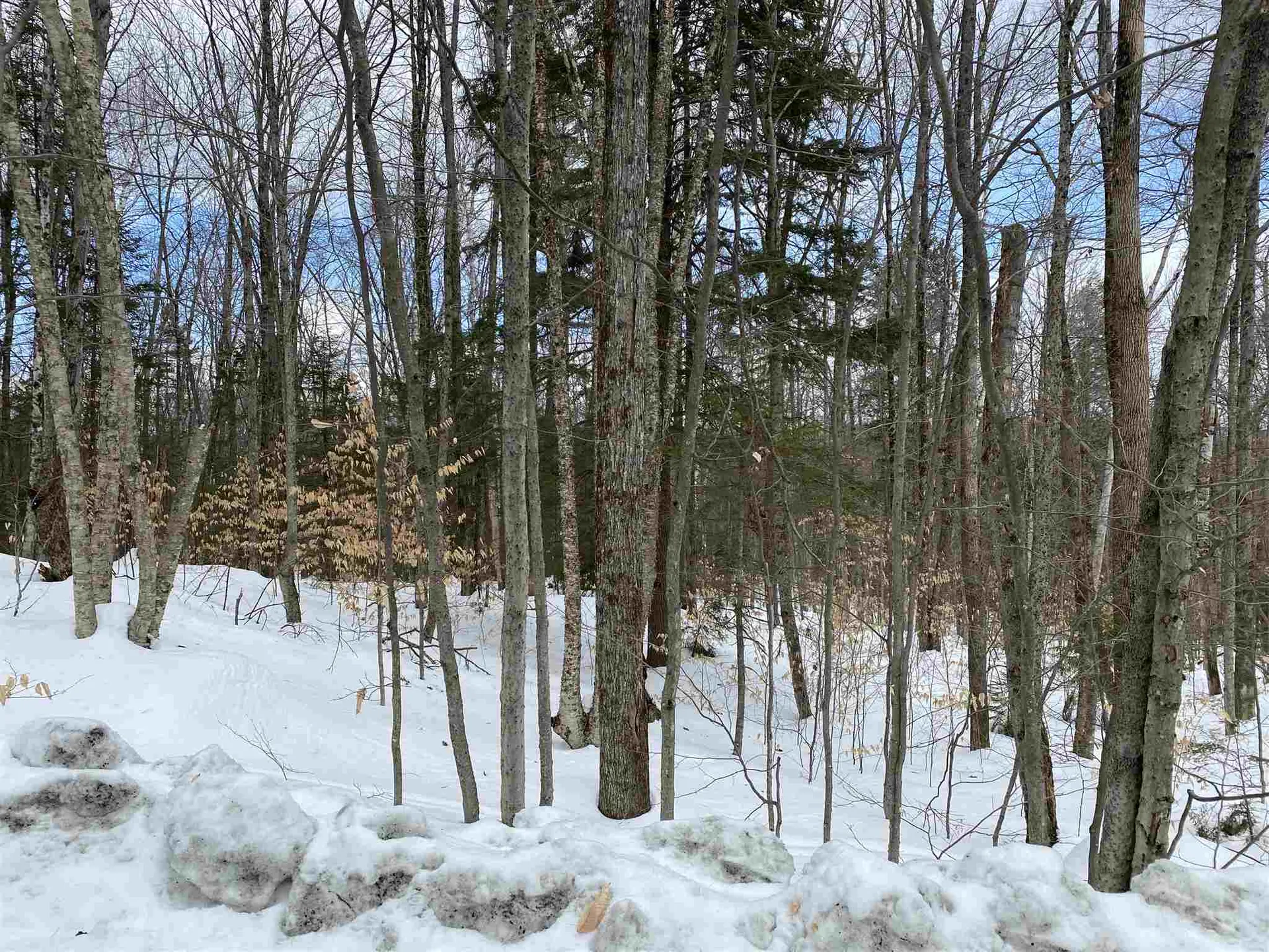 4 Chickadee Lane Grantham NH 03753
