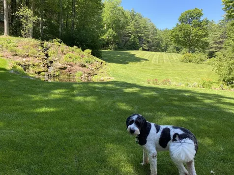 318 Ebbin Lockwood Way Woodstock VT 05071