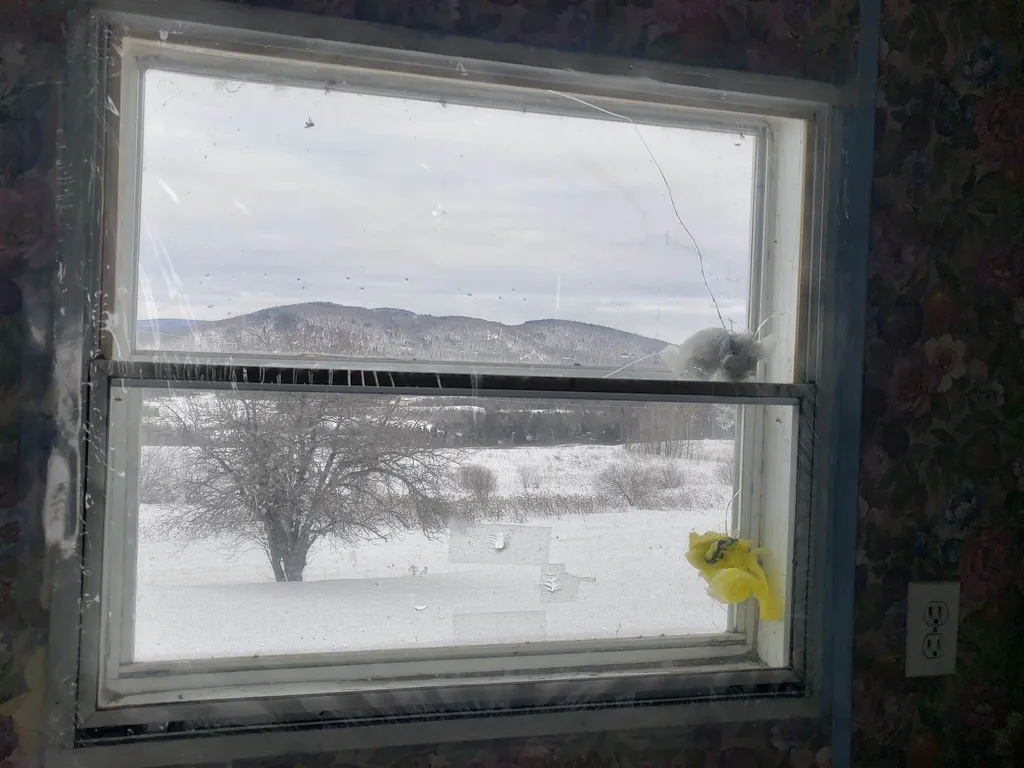 535 Basil Hill Road Brighton VT 05846