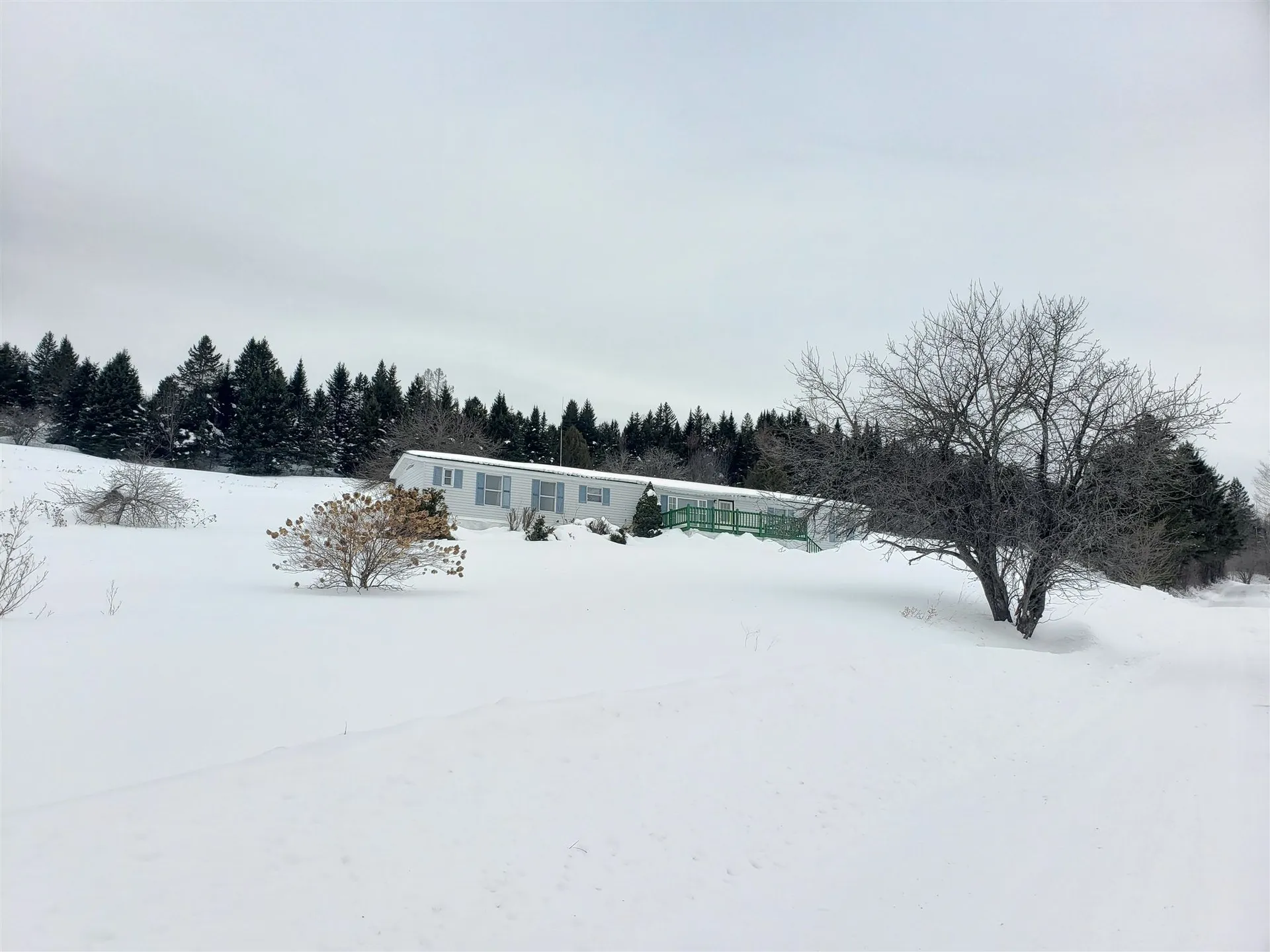 535 Basil Hill Road Brighton VT 05846