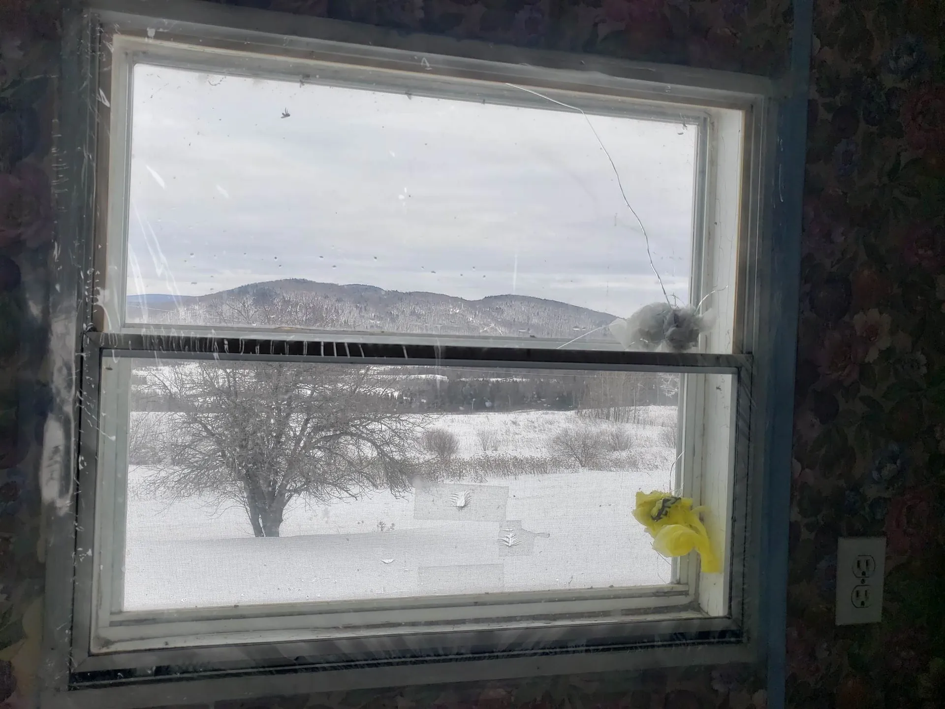 535 Basil Hill Road Brighton VT 05846