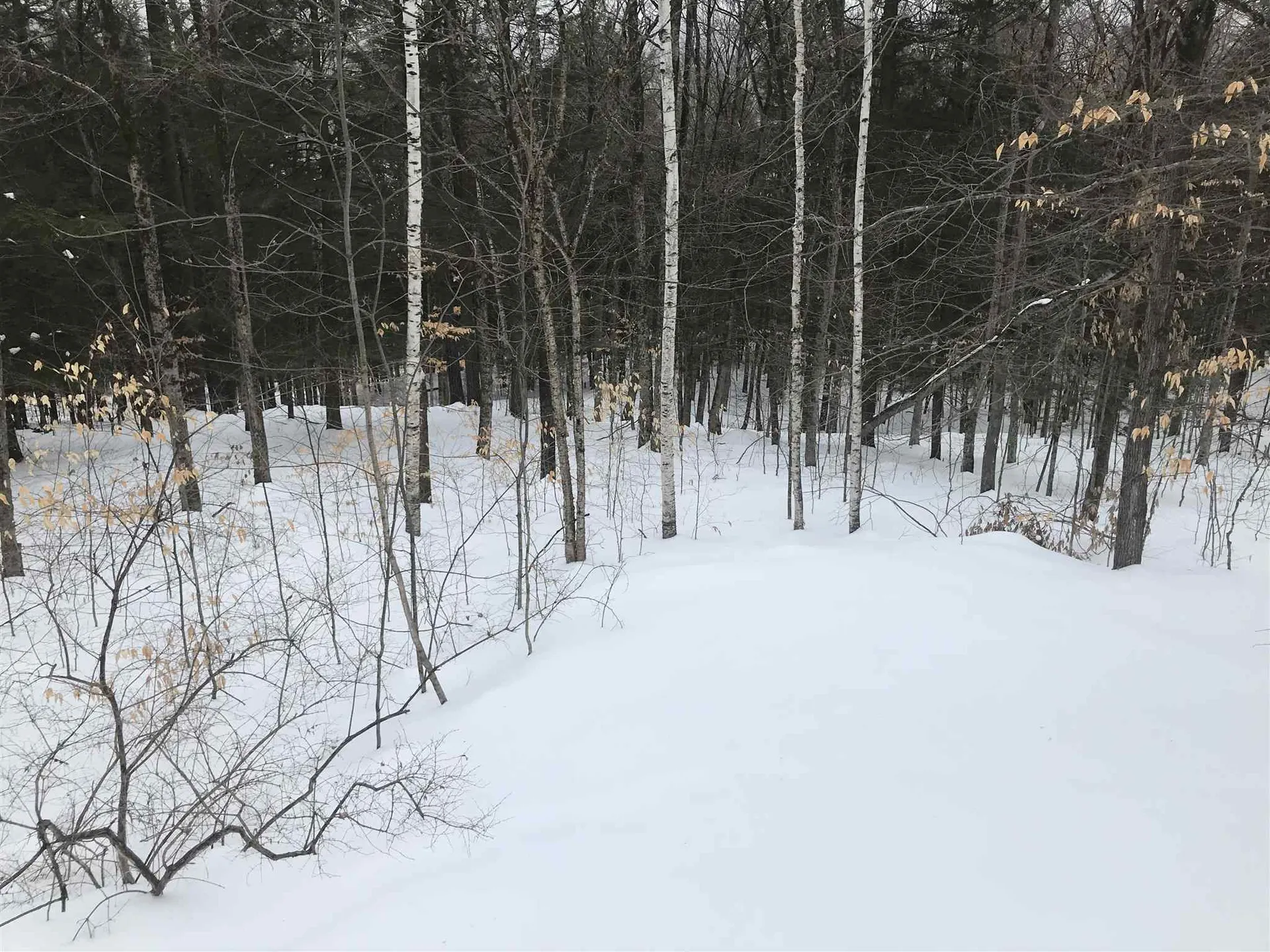 37 Ridge Road Enfield NH 03748