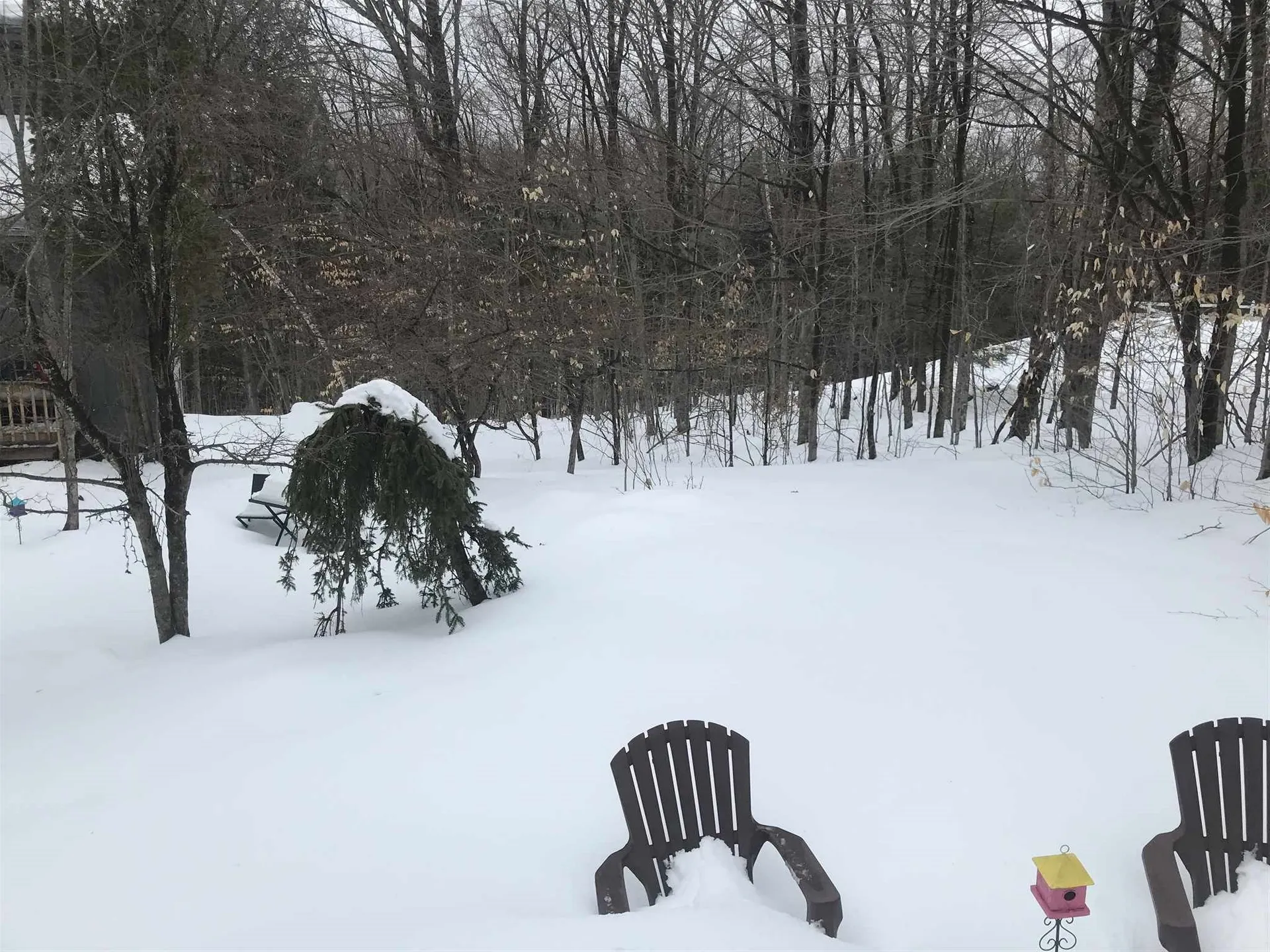 37 Ridge Road Enfield NH 03748