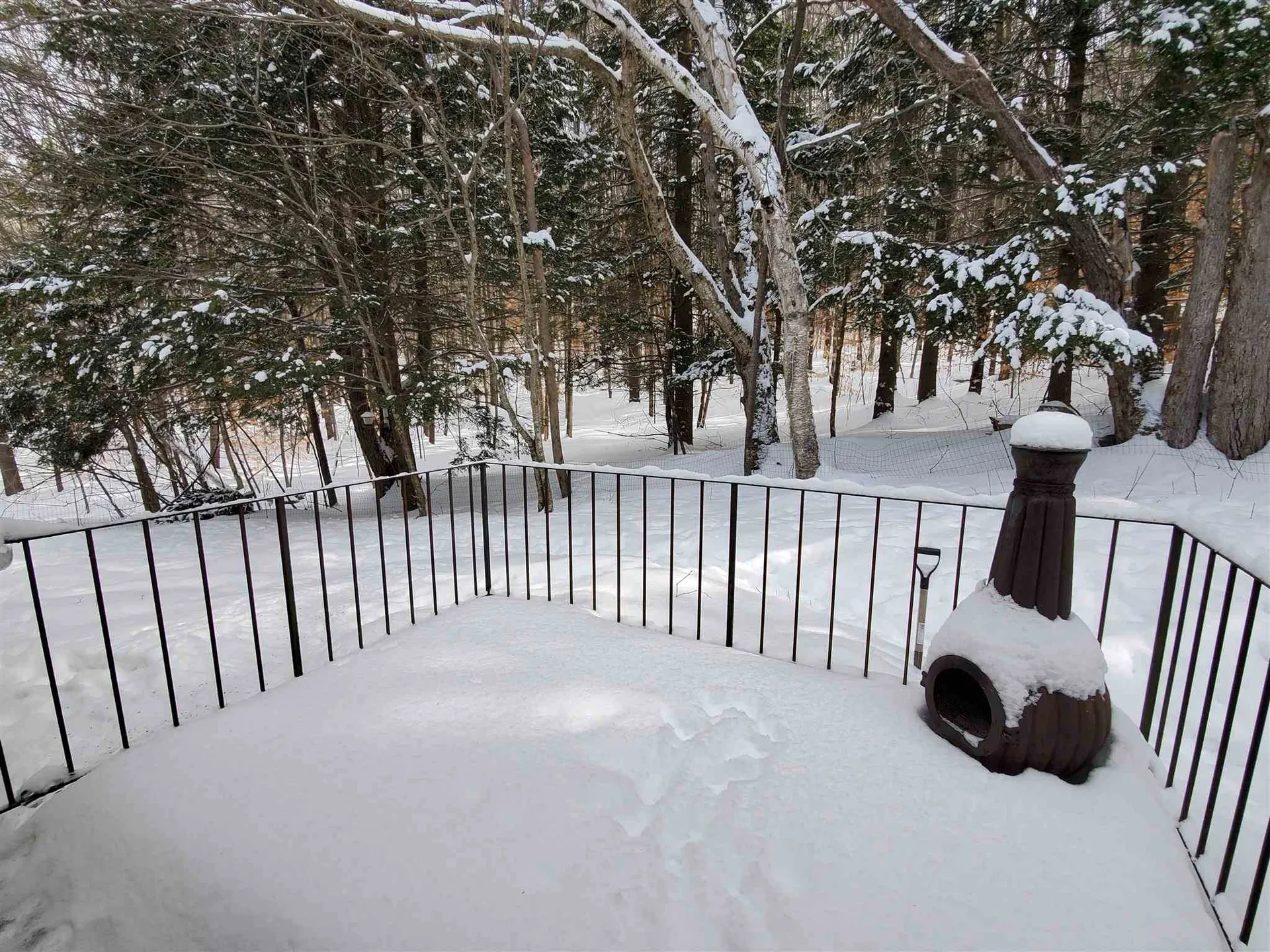21 Deer Run Enfield NH 03748