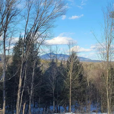 559 Davidson Hill Road Chester VT 05143