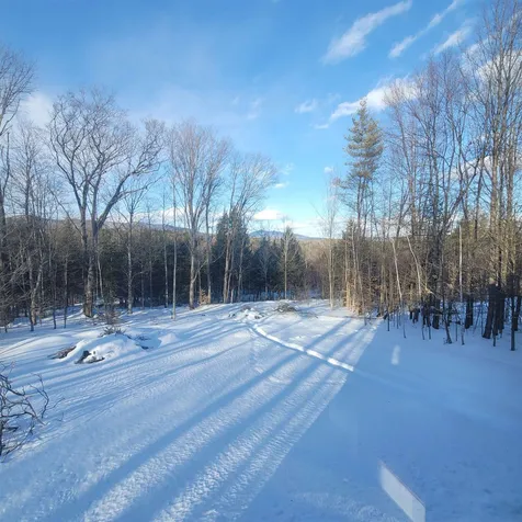 559 Davidson Hill Road Chester VT 05143
