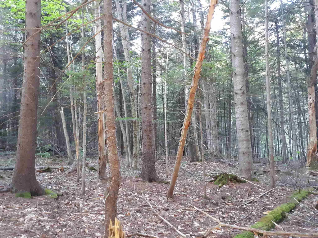 0 Bergabhang Drive Stamford VT 05352