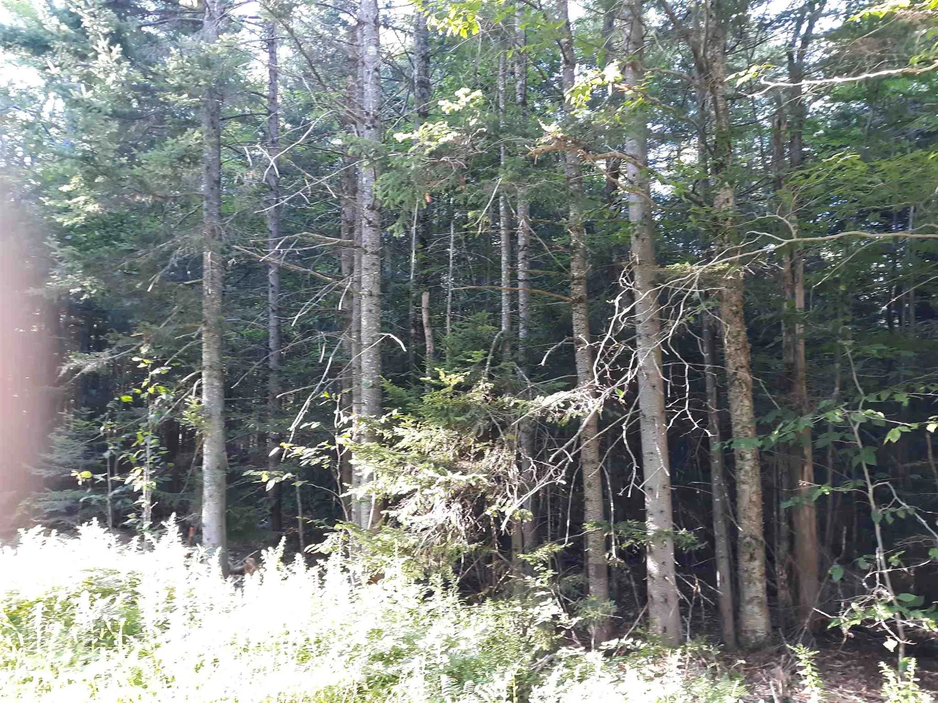 0 Bergabhang Drive Stamford VT 05352
