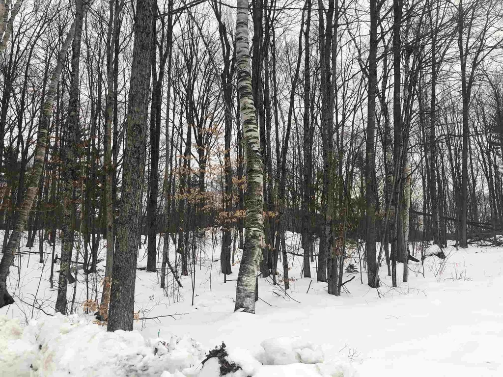 Paulsen Circle Haverhill NH 03785