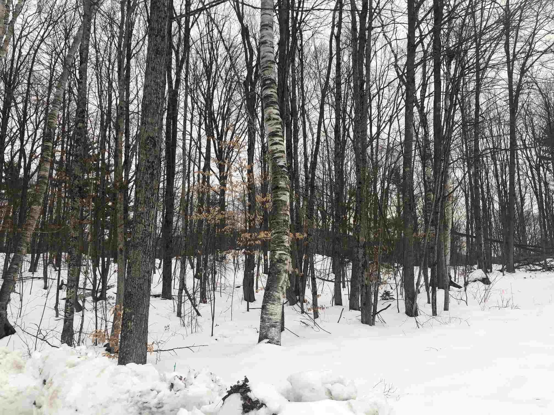 Paulsen Circle Haverhill NH 03785