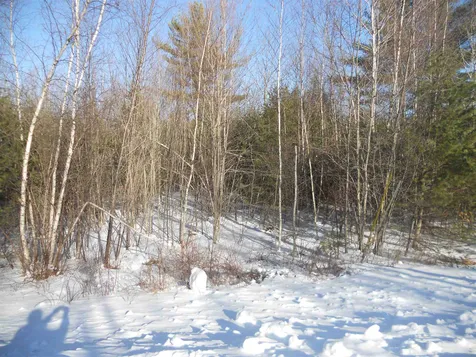 21 River View Road Newport NH 03773