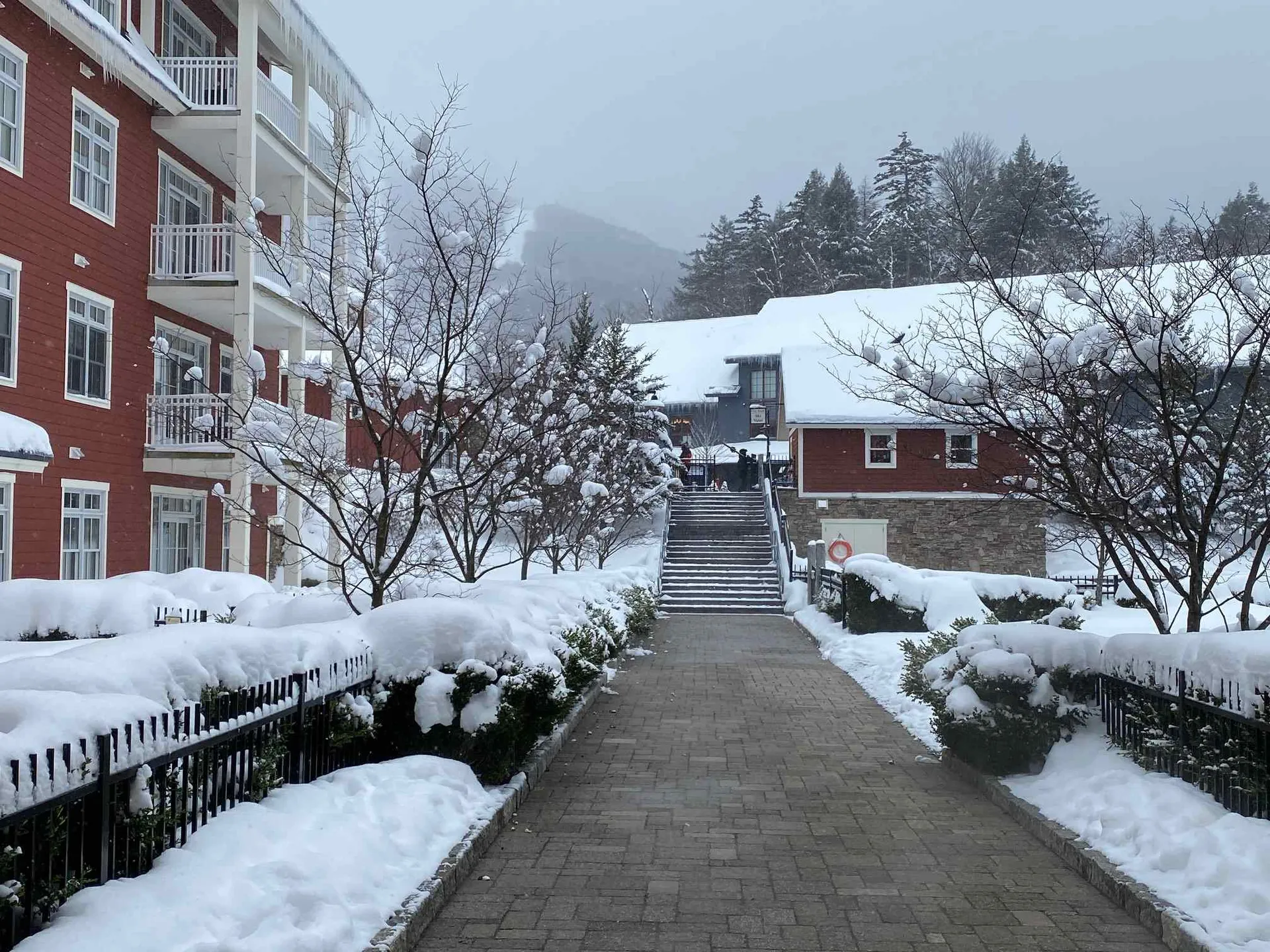 102 Forest Drive Warren VT 05674