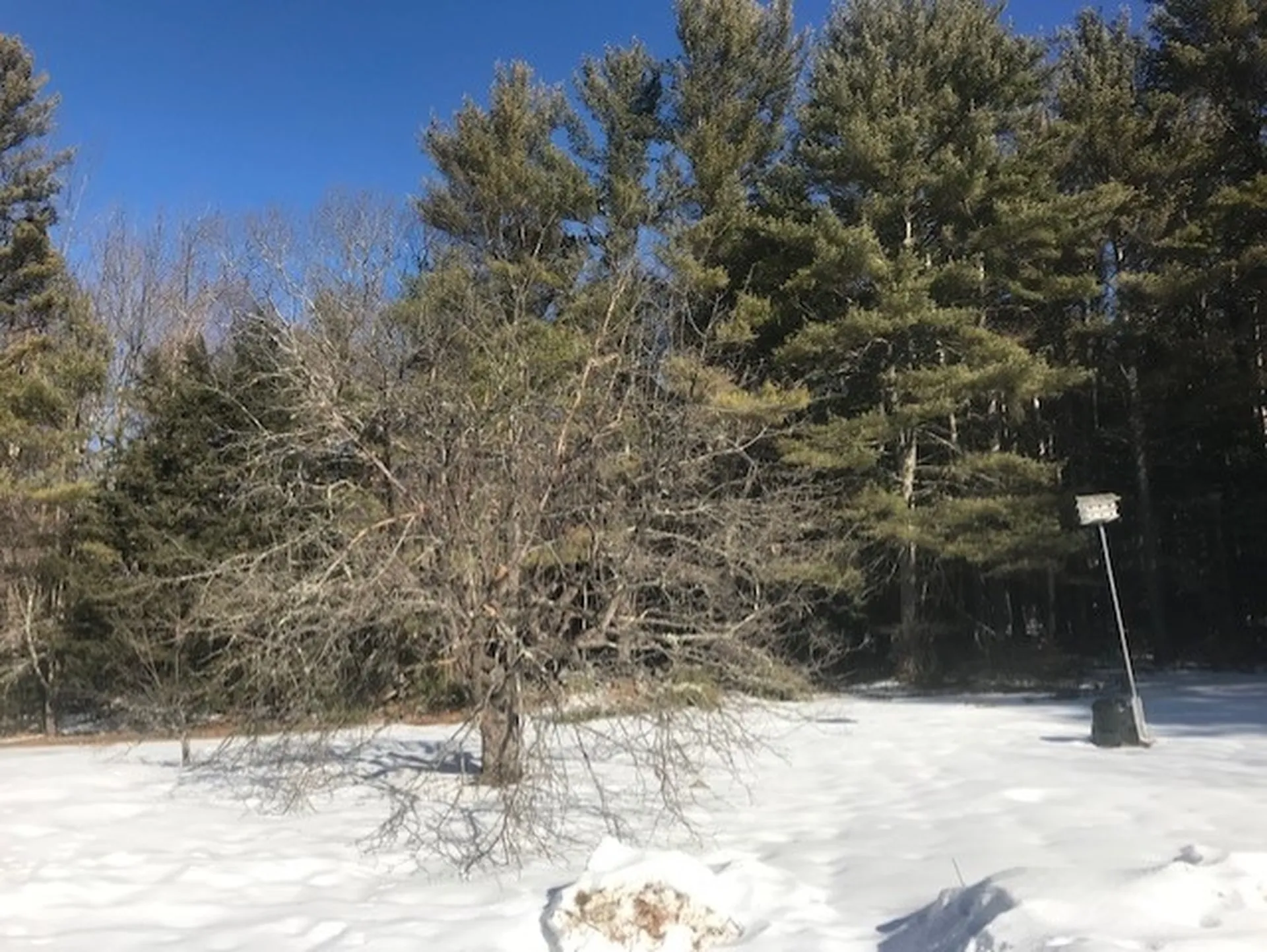152 North Wolfeboro Road Wolfeboro NH 03894