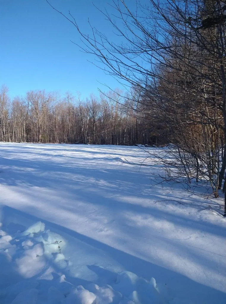 250 Mill Road Stoddard NH 03464