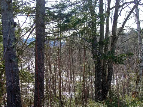 3 Drakes Brook Road Waterville Valley NH 03215