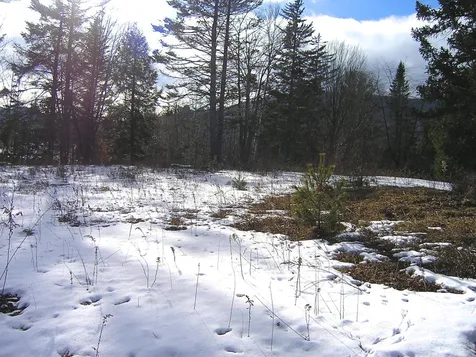 3 Drakes Brook Road Waterville Valley NH 03215