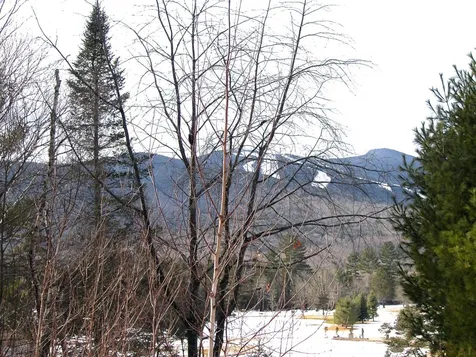 3 Drakes Brook Road Waterville Valley NH 03215