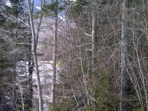 3 Drakes Brook Road Waterville Valley NH 03215