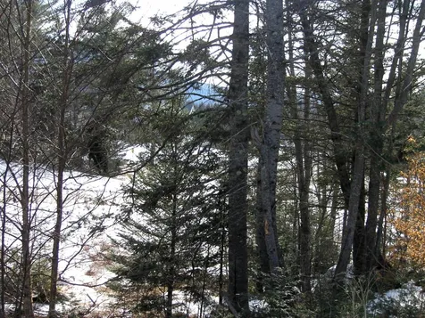 3 Drakes Brook Road Waterville Valley NH 03215