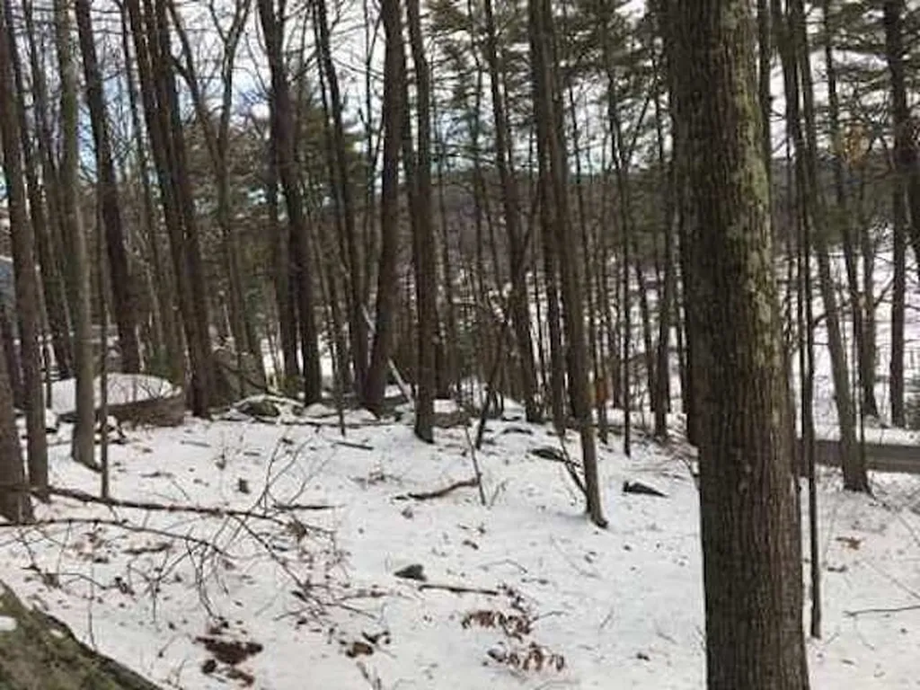 16 Varney Point Road Right Gilford NH 03249