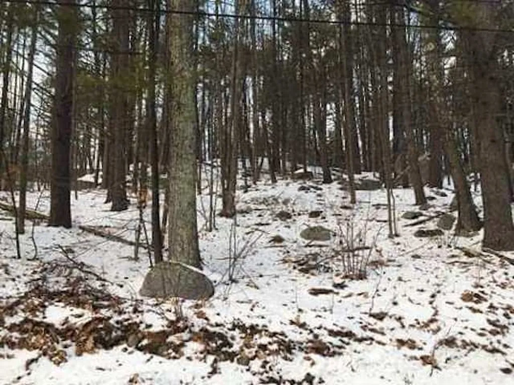 16 Varney Point Road Right Gilford NH 03249