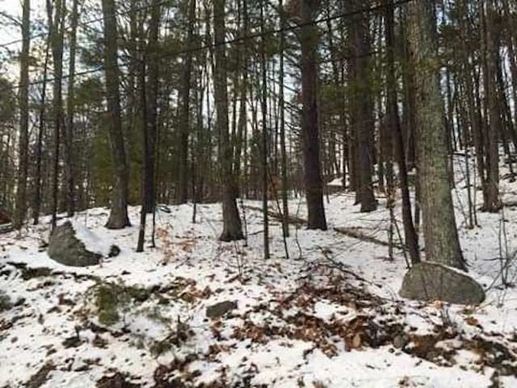 16 Varney Point Road Right Gilford NH 03249