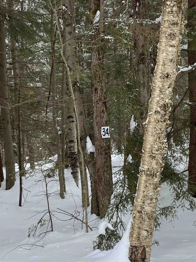34 South Ryder Pond Road Whitingham VT 05361