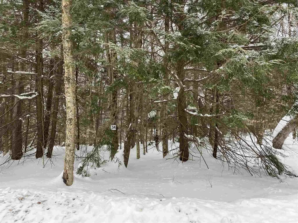 34 South Ryder Pond Road Whitingham VT 05361