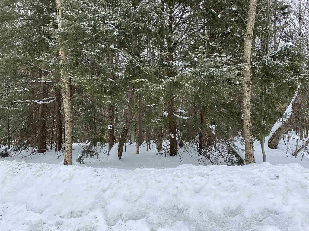 34 South Ryder Pond Road Whitingham VT 05361
