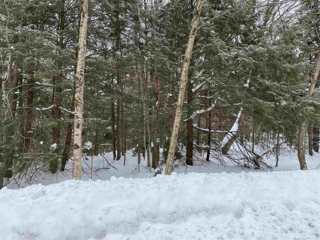 34 South Ryder Pond Road Whitingham VT 05361