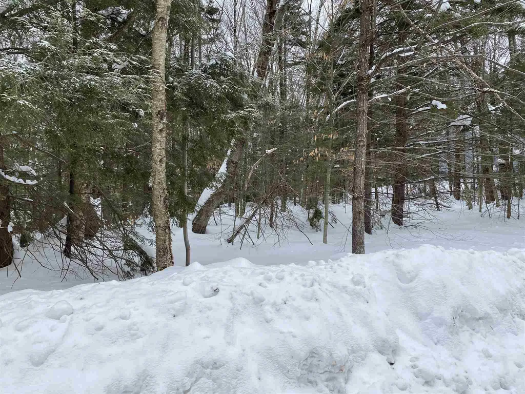 34 South Ryder Pond Road Whitingham VT 05361