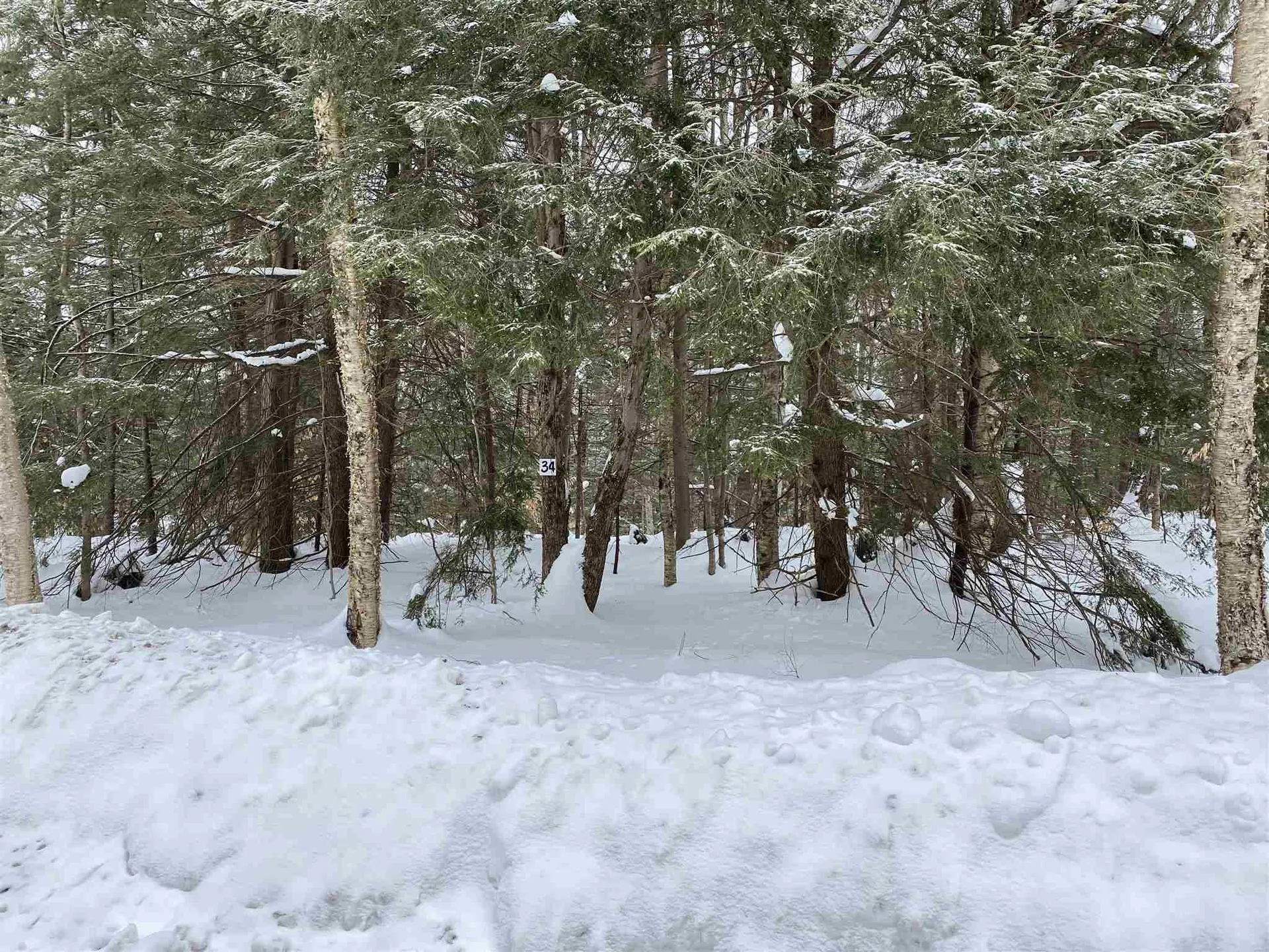 34 South Ryder Pond Road Whitingham VT 05361