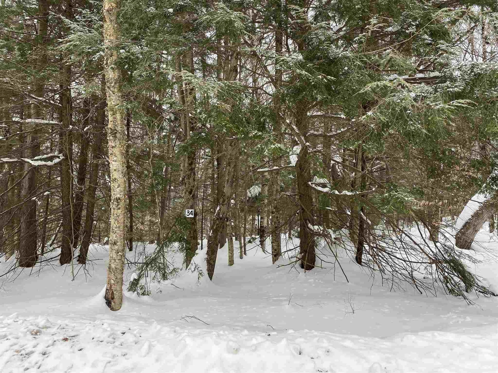 34 South Ryder Pond Road Whitingham VT 05361