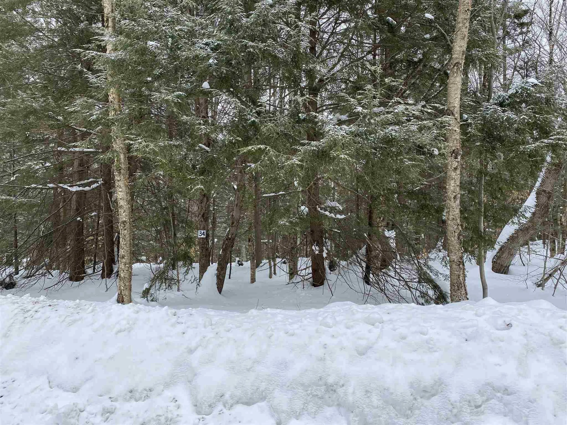 34 South Ryder Pond Road Whitingham VT 05361
