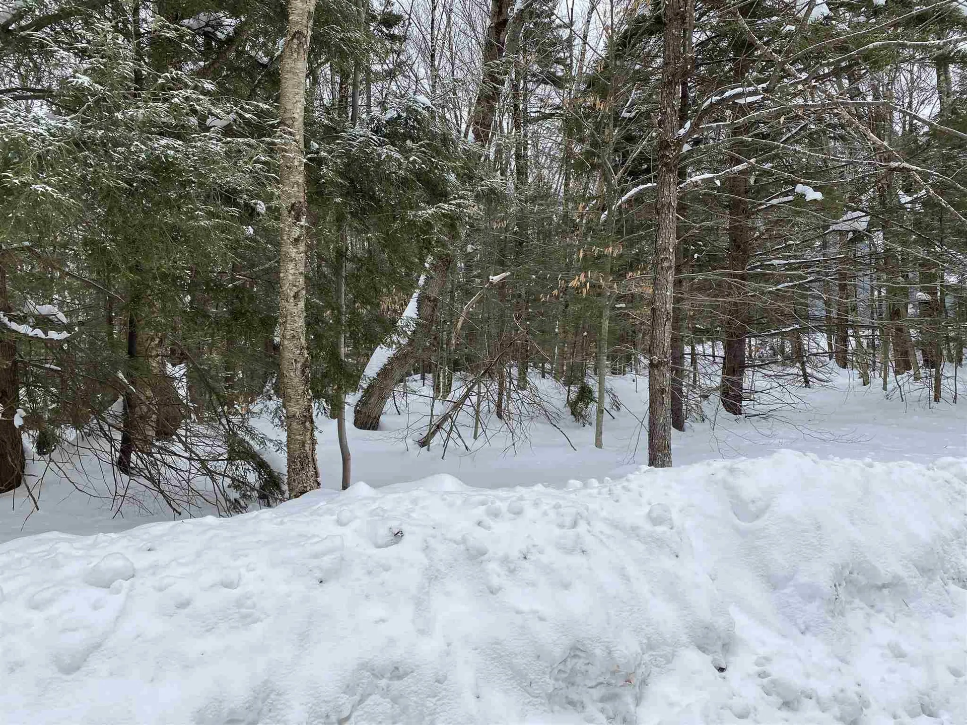 34 South Ryder Pond Road Whitingham VT 05361