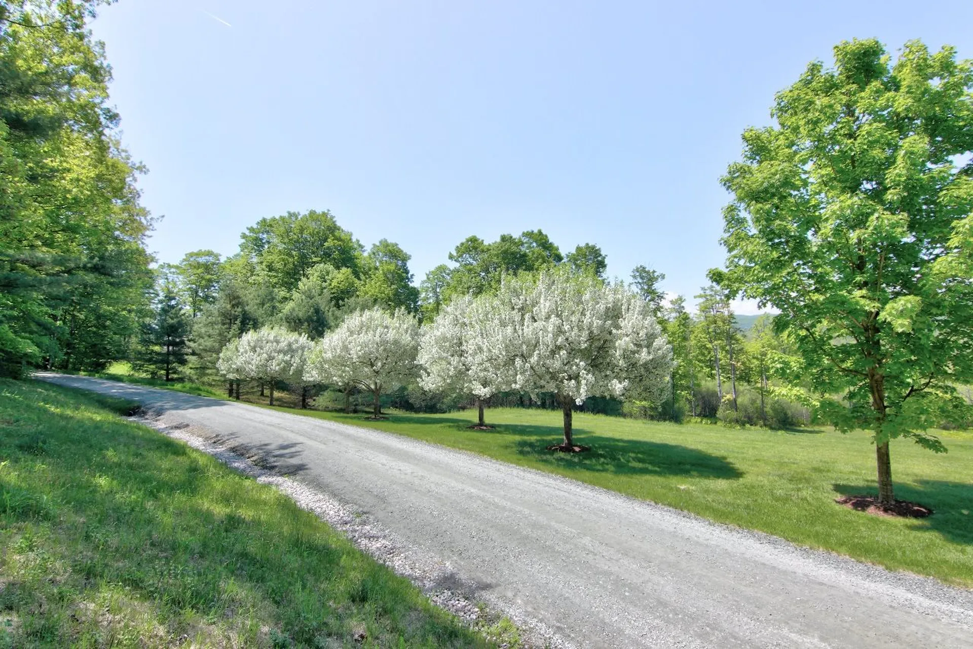14 Olcott Road Norwich VT 05055