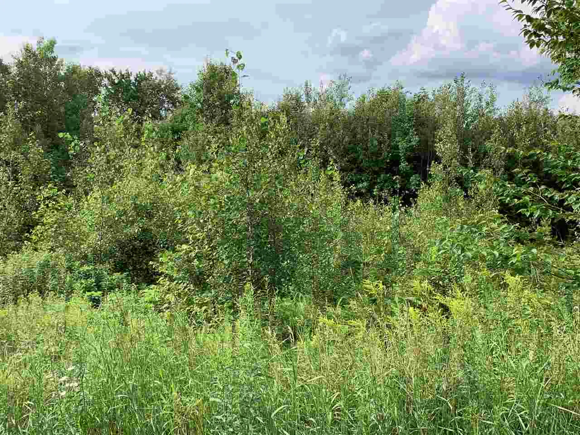 0 Joanne Drive Burke VT 05832