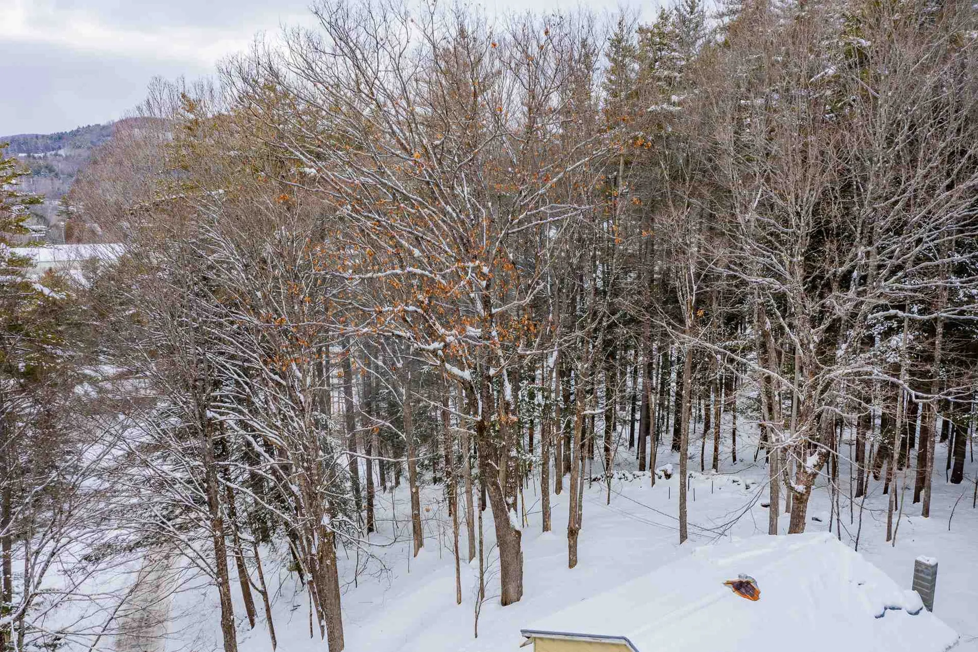 301 Carlton Hill Road Woodstock VT 05091