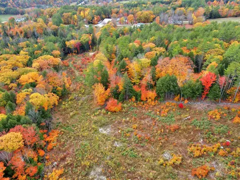 120 Belser Road Alexandria NH 03222
