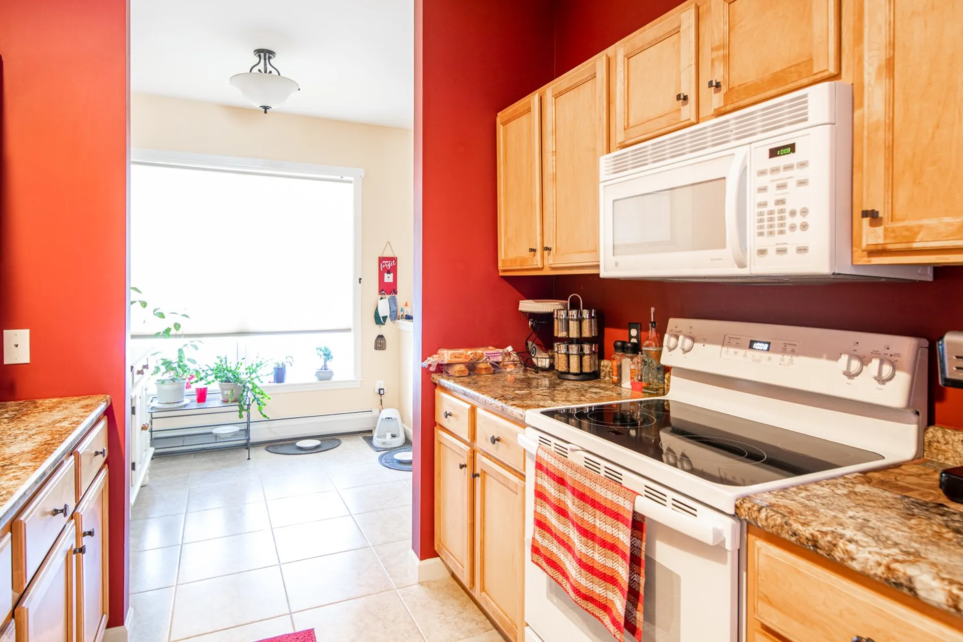 47 Marion Avenue Essex VT 05452