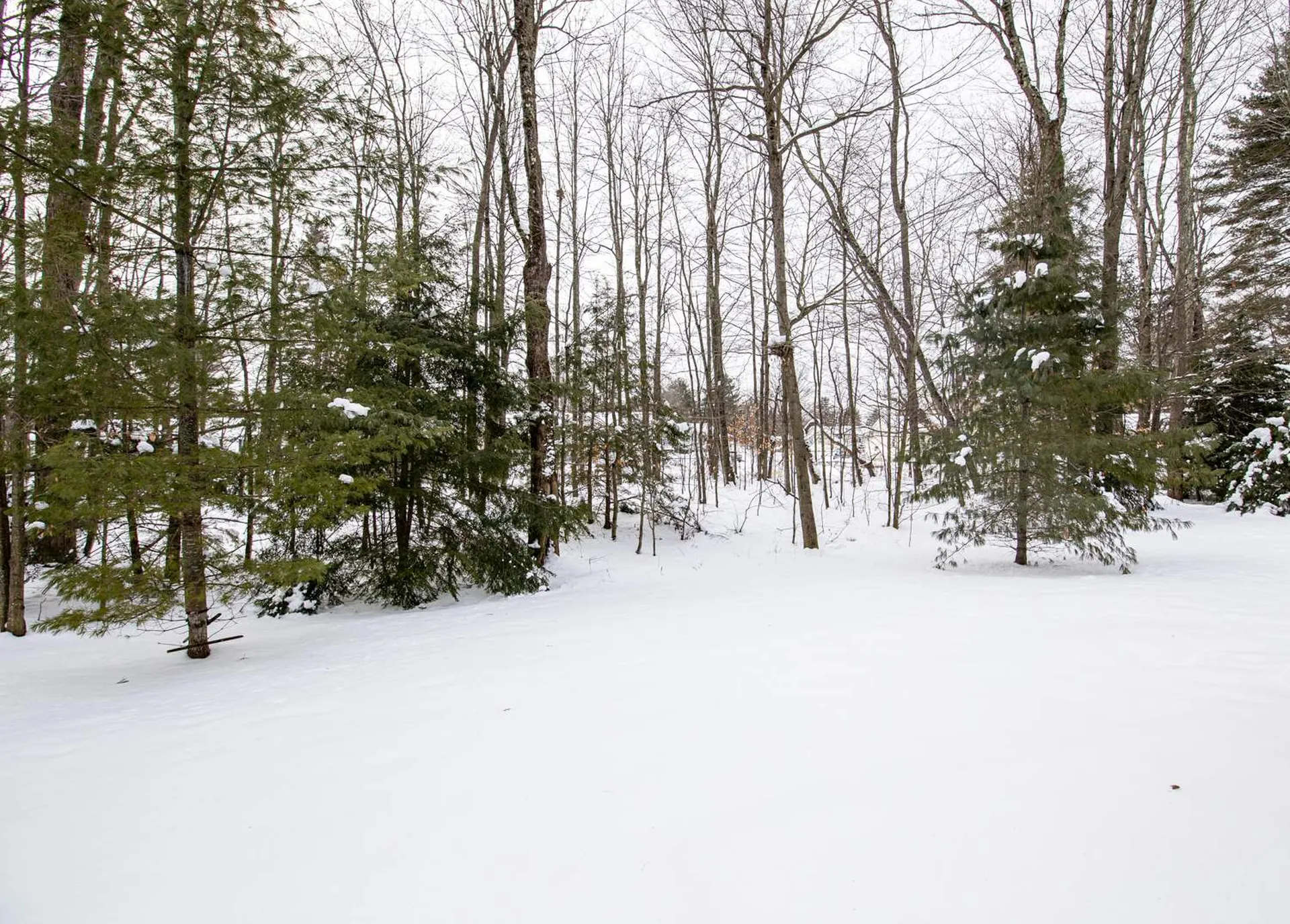 47 Marion Avenue Essex VT 05452