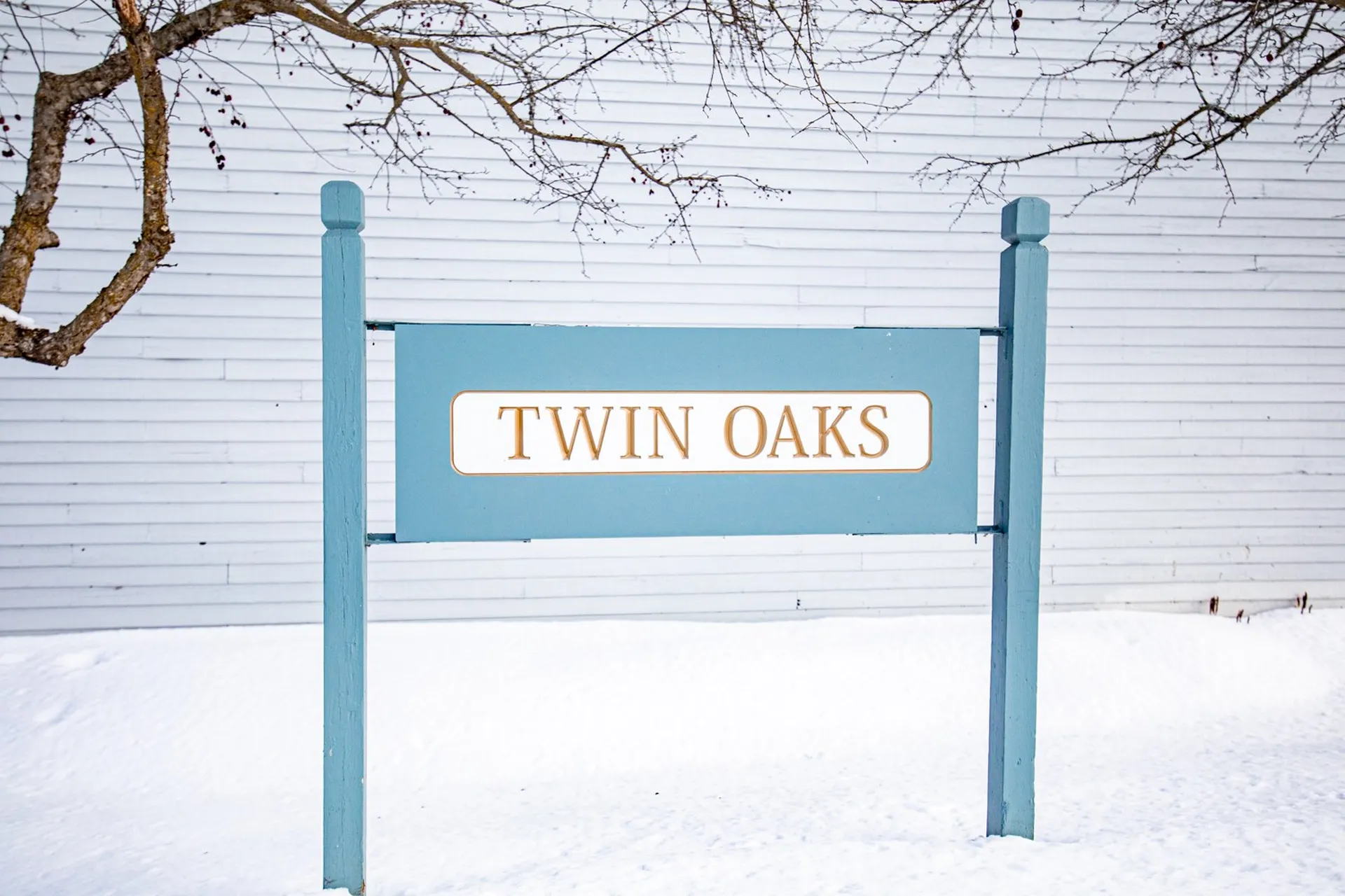 59 Twin Oaks Terrace South Burlington VT 05403