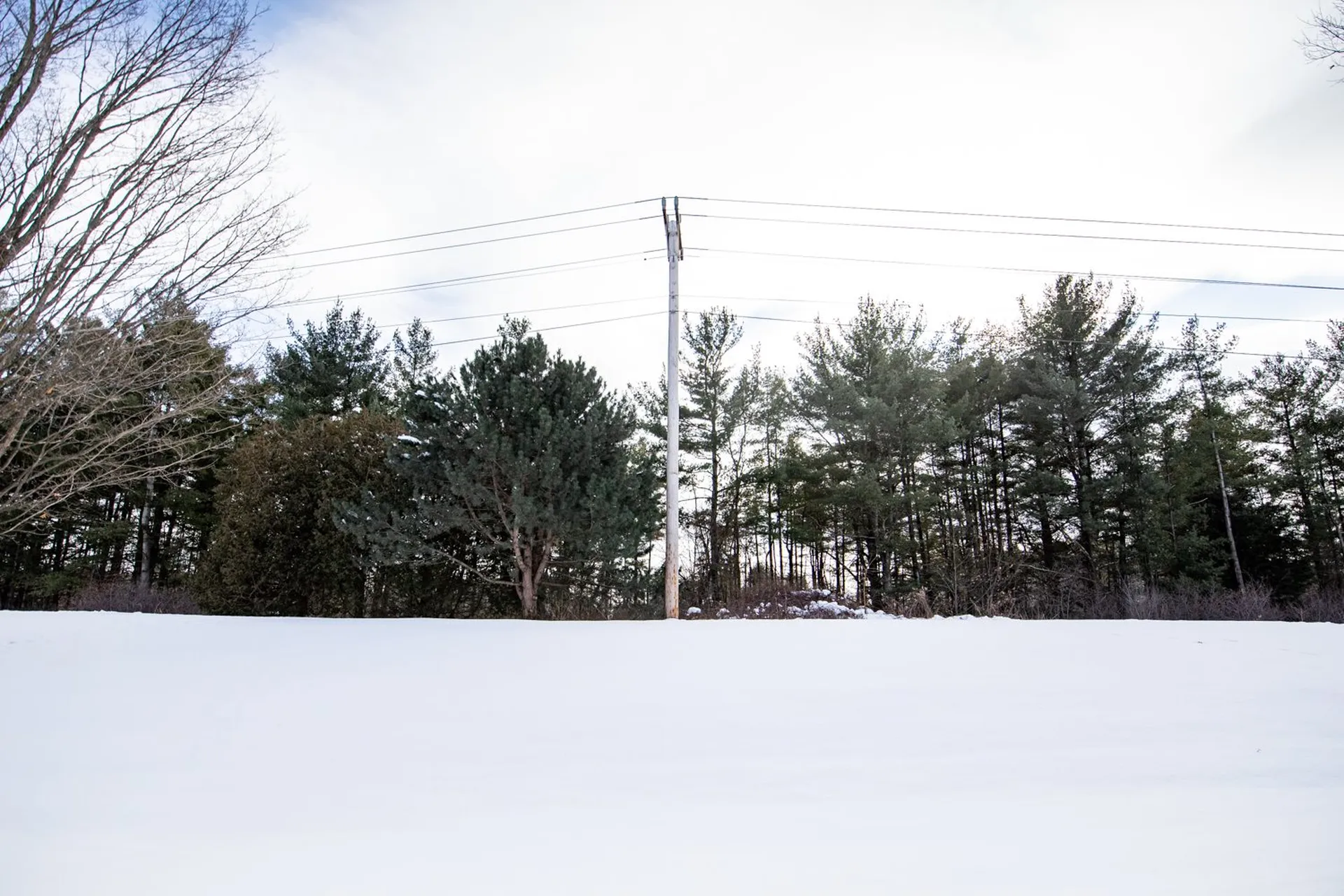 59 Twin Oaks Terrace South Burlington VT 05403