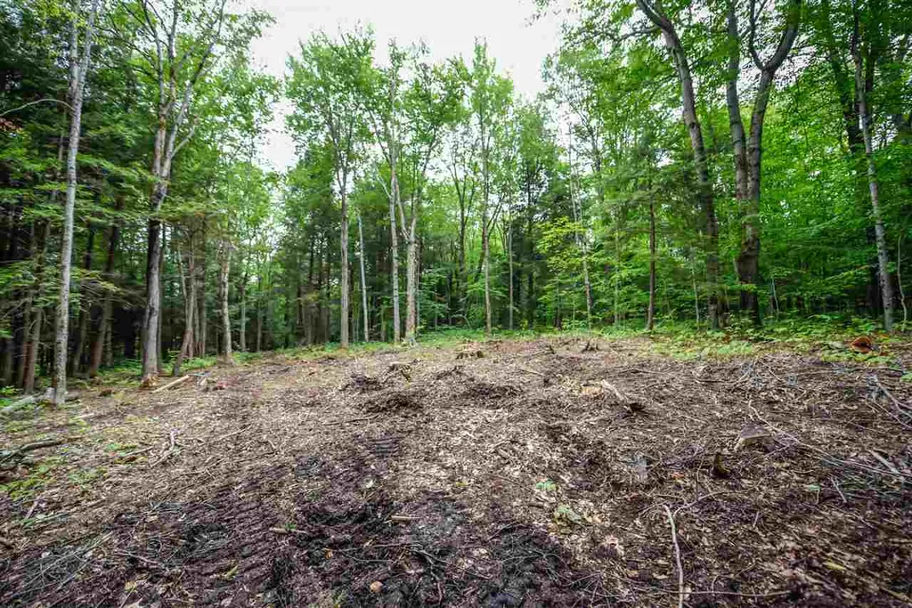 Lot X Tyanoga Road Whitingham VT 05361