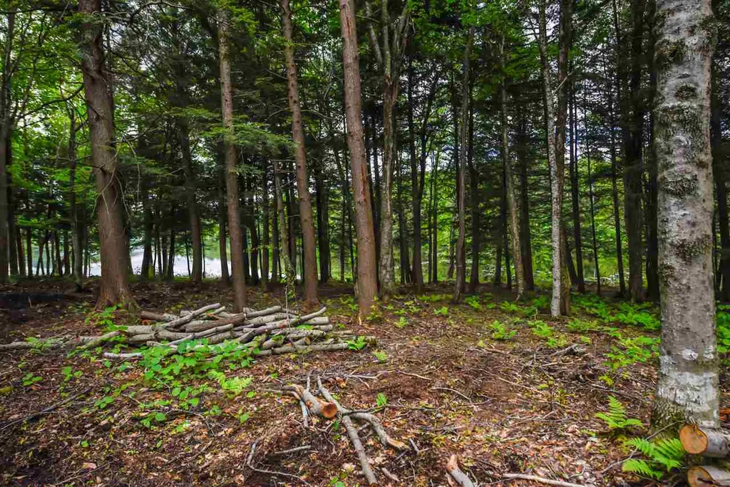 Lot X Tyanoga Road Whitingham VT 05361