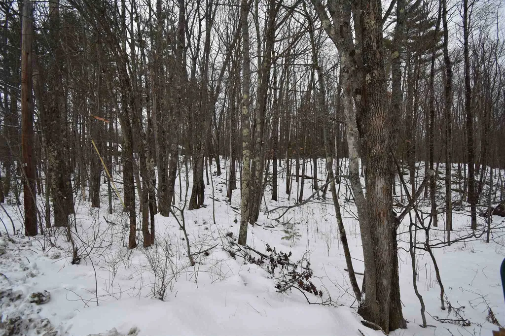 00 Bear Pond Road Canaan NH 03741