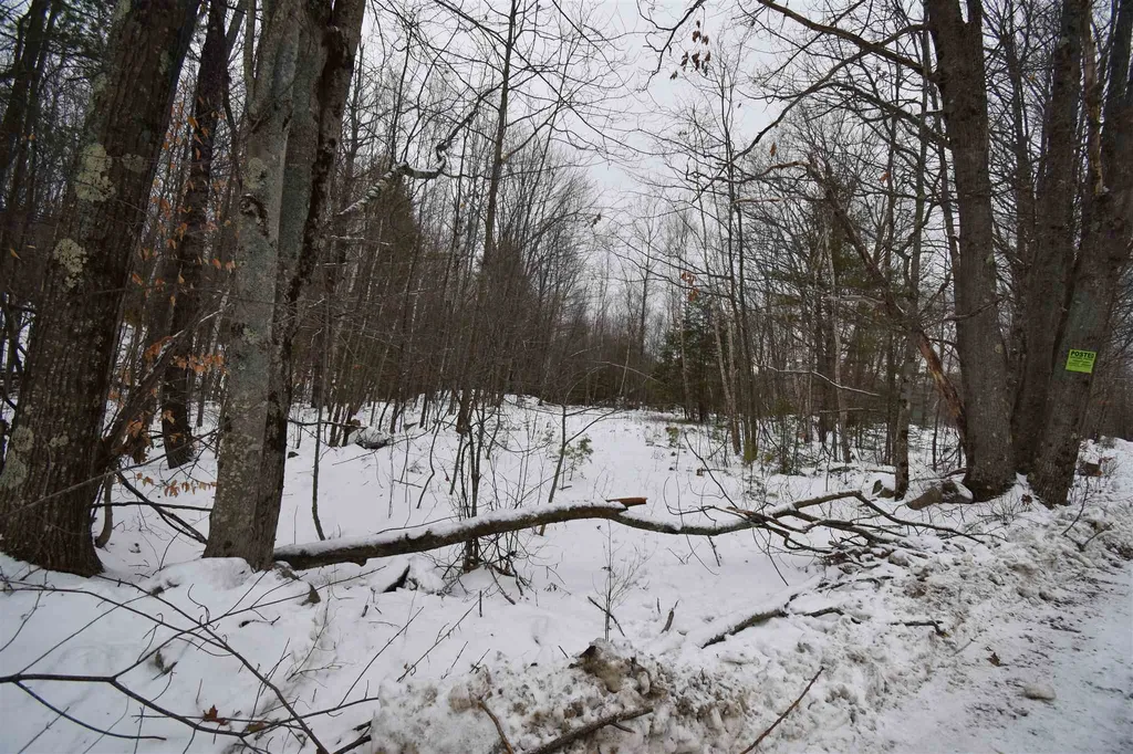 00 Bear Pond Road Canaan NH 03741