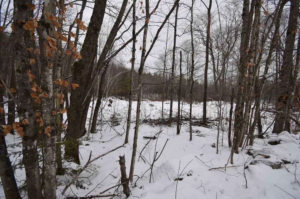 00 Bear Pond Road Canaan NH 03741